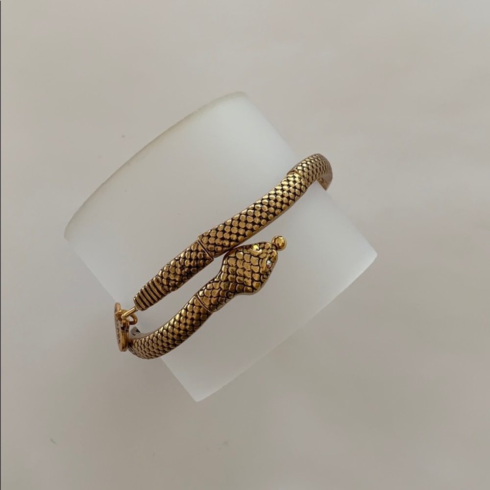 Alex and Ani Serpent Wrap Bangle RARE